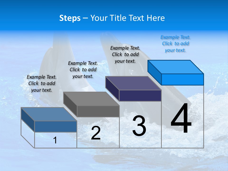 Dolphin PowerPoint Template