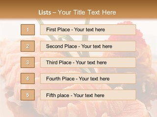 Japanese Salmon PowerPoint Template