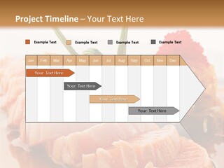 Japanese Salmon PowerPoint Template