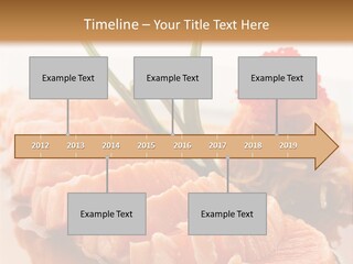 Japanese Salmon PowerPoint Template