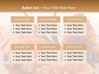 Japanese Salmon PowerPoint Template