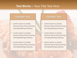 Japanese Salmon PowerPoint Template