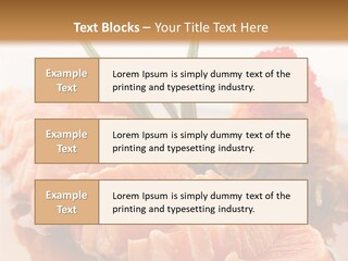 Japanese Salmon PowerPoint Template