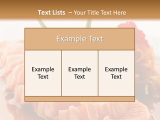 Japanese Salmon PowerPoint Template