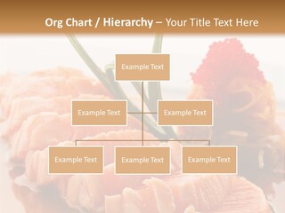 Japanese Salmon PowerPoint Template