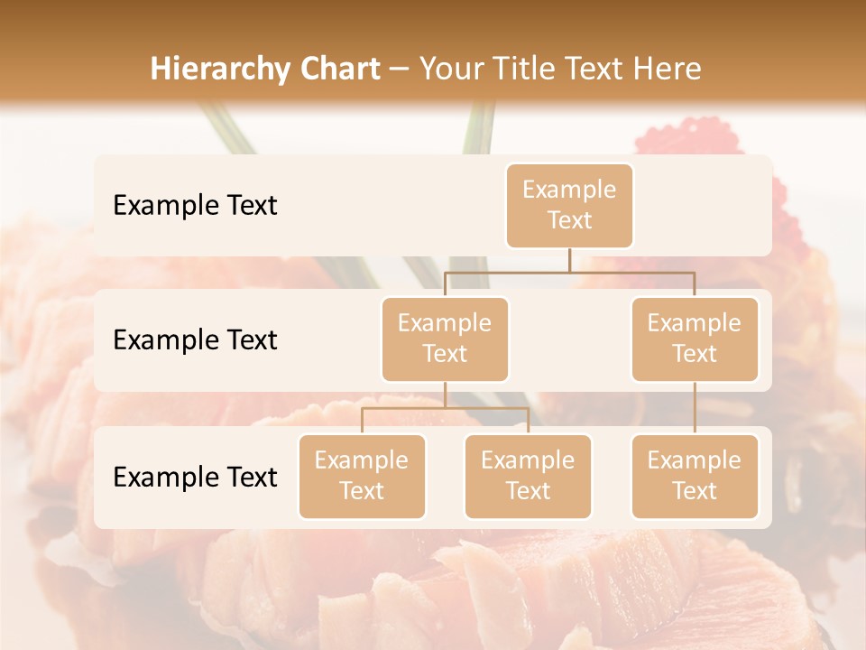 Japanese Salmon PowerPoint Template