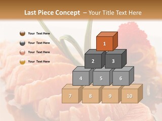 Japanese Salmon PowerPoint Template