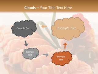 Japanese Salmon PowerPoint Template