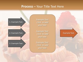 Japanese Salmon PowerPoint Template