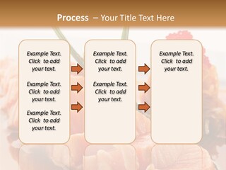 Japanese Salmon PowerPoint Template