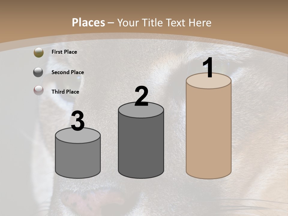 Puma Animal PowerPoint Template