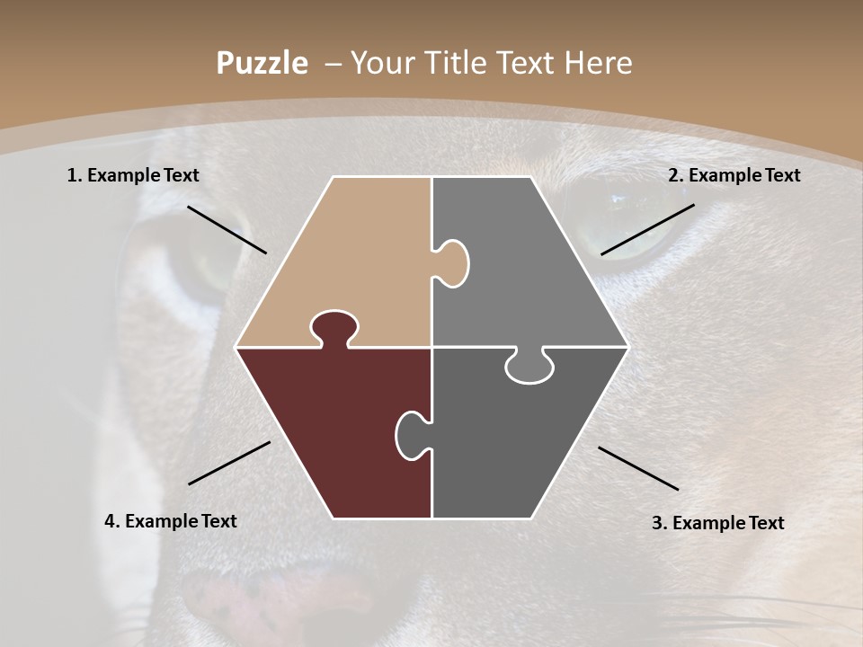 Puma Animal PowerPoint Template