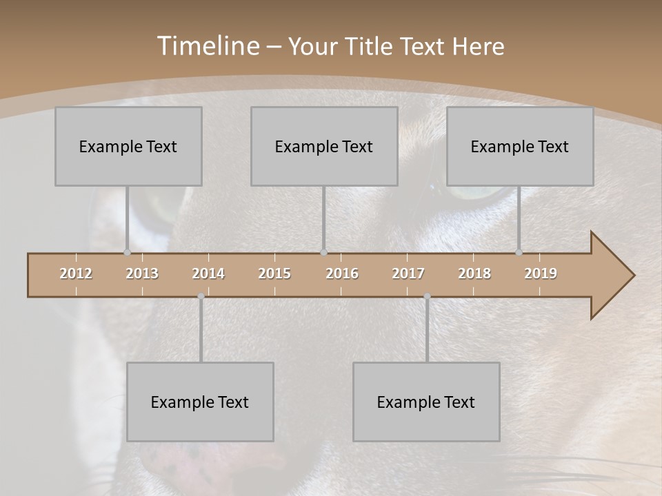 Puma Animal PowerPoint Template