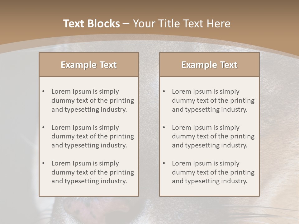 Puma Animal PowerPoint Template