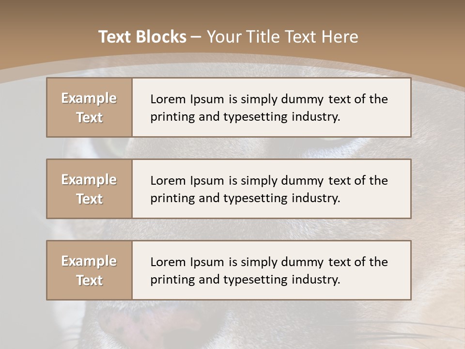 Puma Animal PowerPoint Template