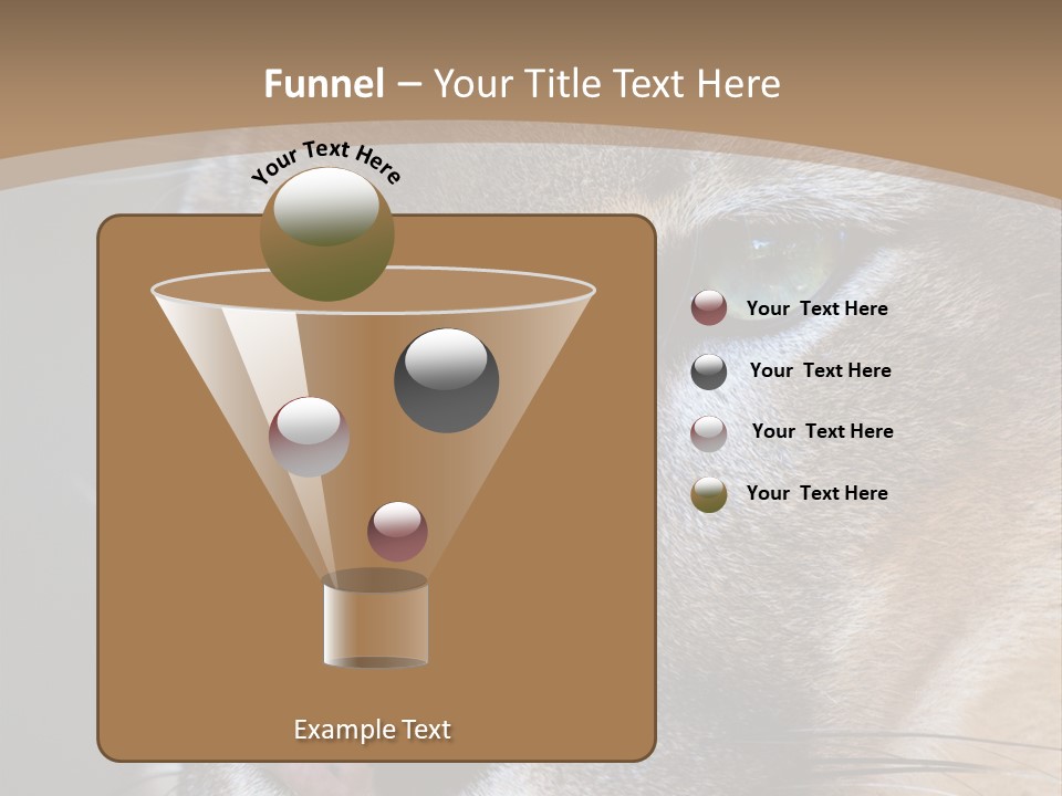 Puma Animal PowerPoint Template