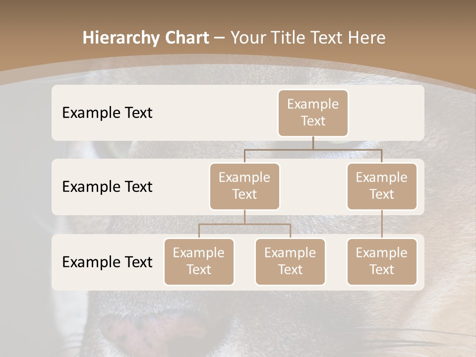Puma Animal PowerPoint Template