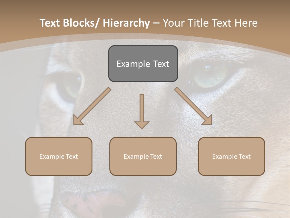 Puma Animal PowerPoint Template