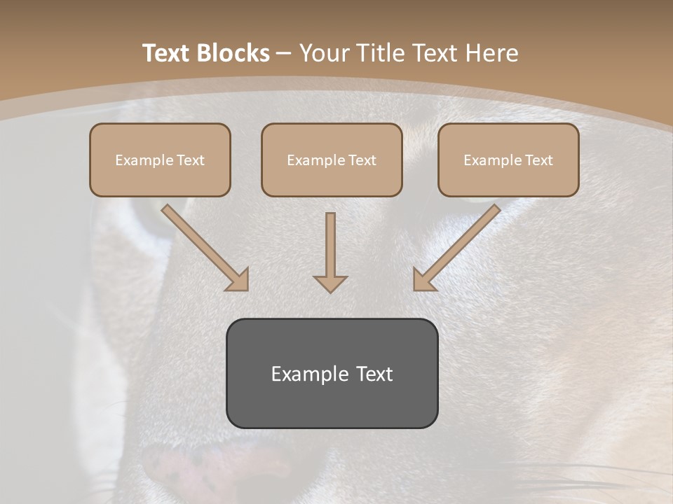 Puma Animal PowerPoint Template