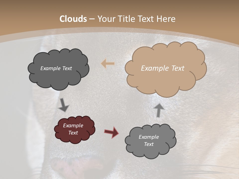 Puma Animal PowerPoint Template