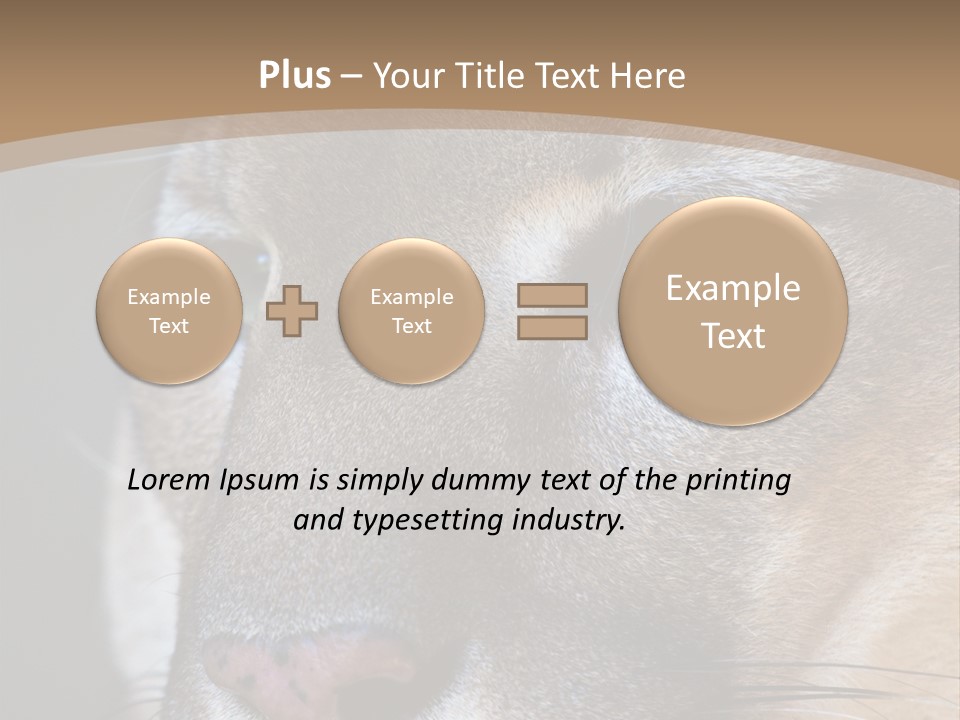 Puma Animal PowerPoint Template