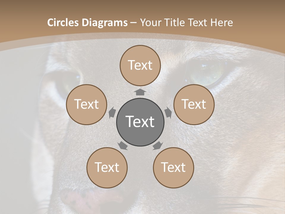 Puma Animal PowerPoint Template