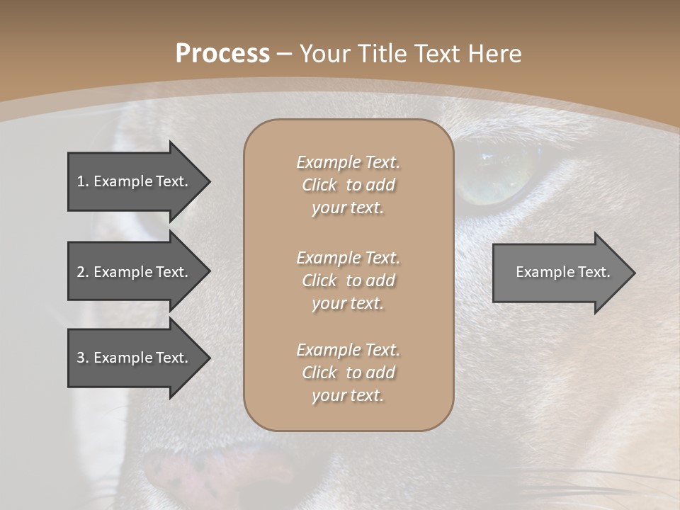Puma Animal PowerPoint Template
