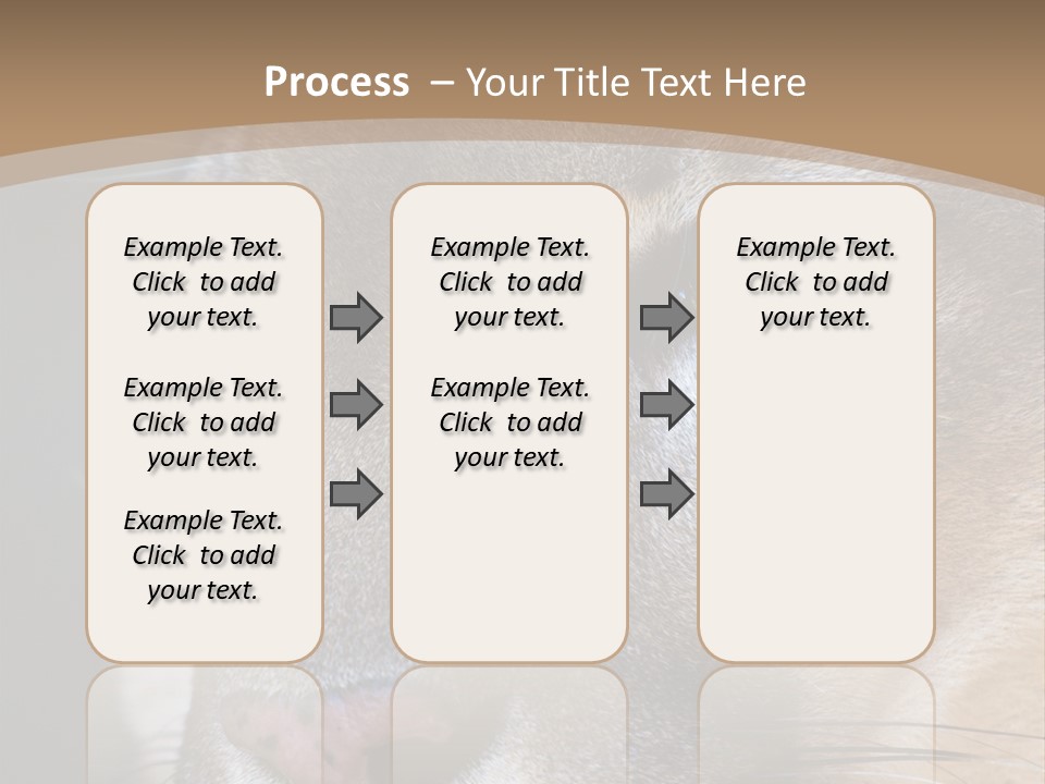 Puma Animal PowerPoint Template