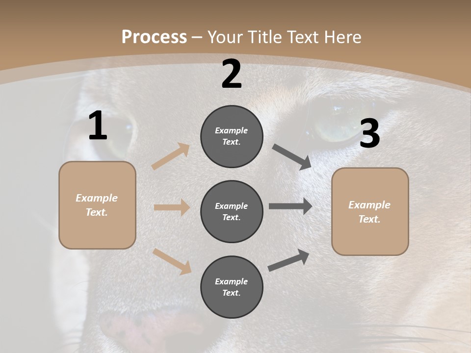 Puma Animal PowerPoint Template