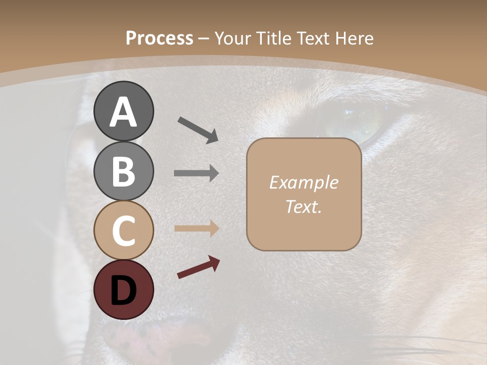 Puma Animal PowerPoint Template