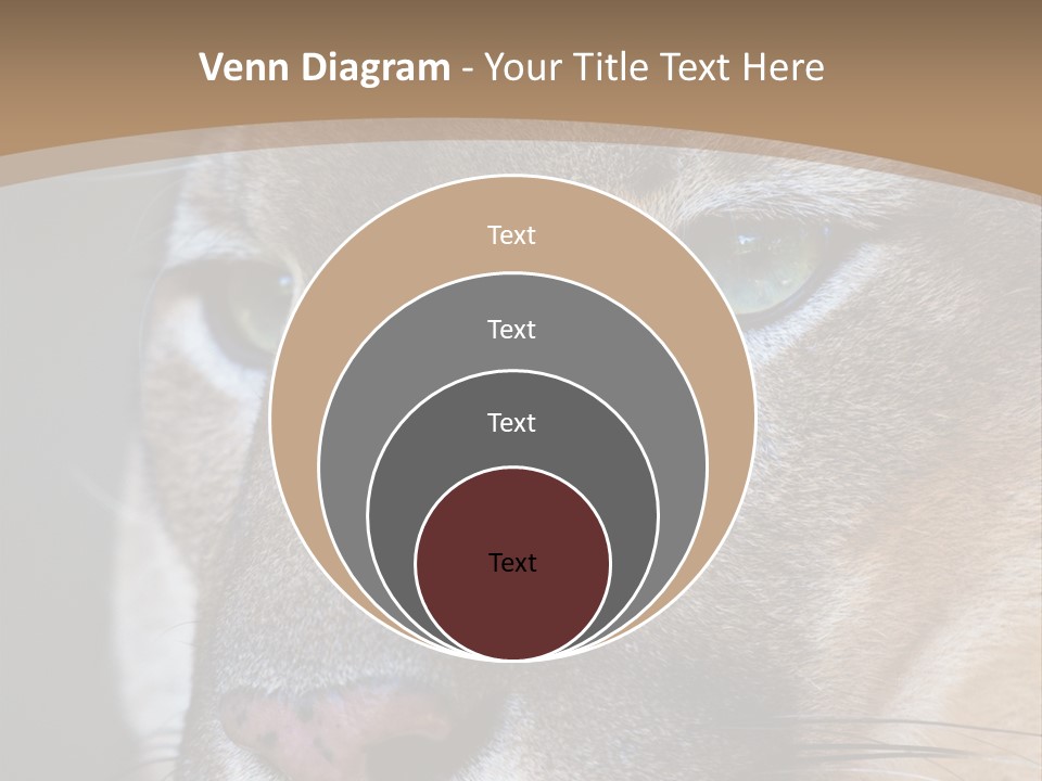 Puma Animal PowerPoint Template