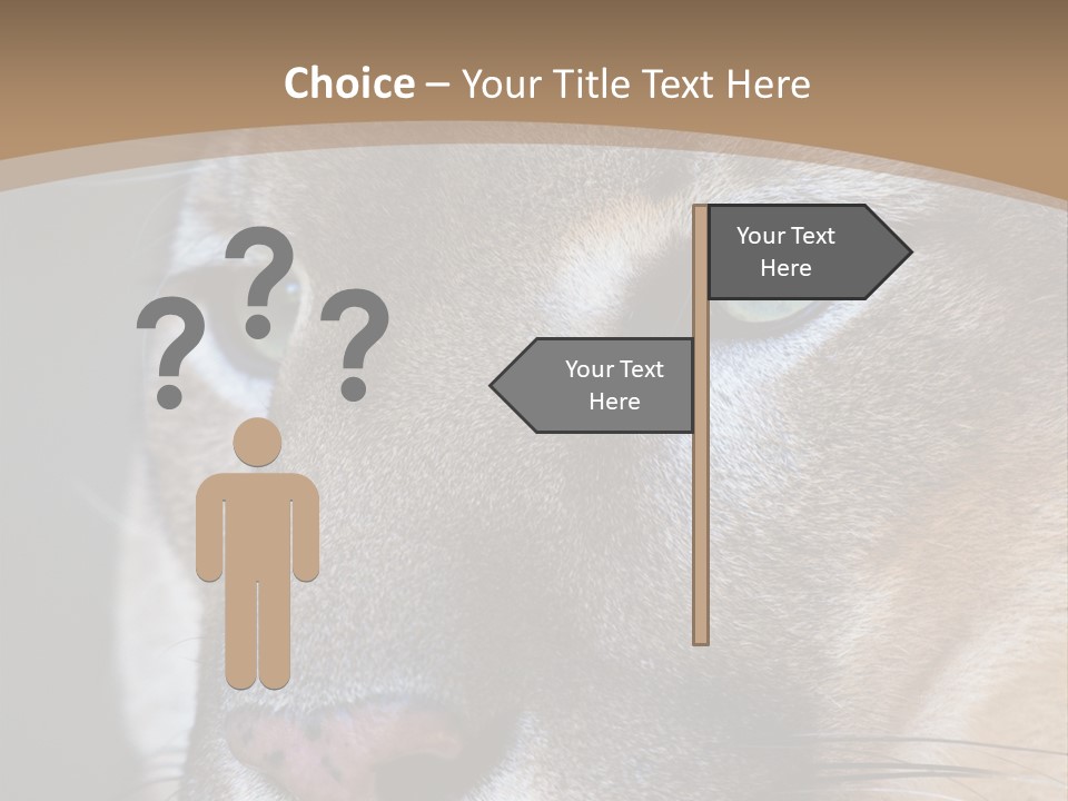 Puma Animal PowerPoint Template