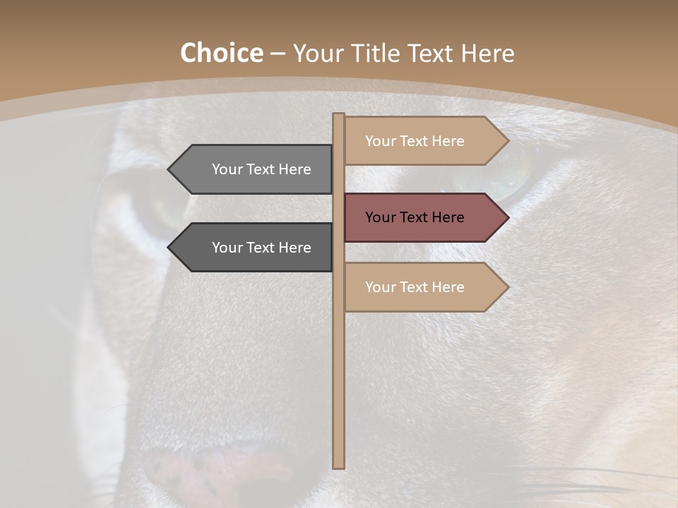 Puma Animal PowerPoint Template