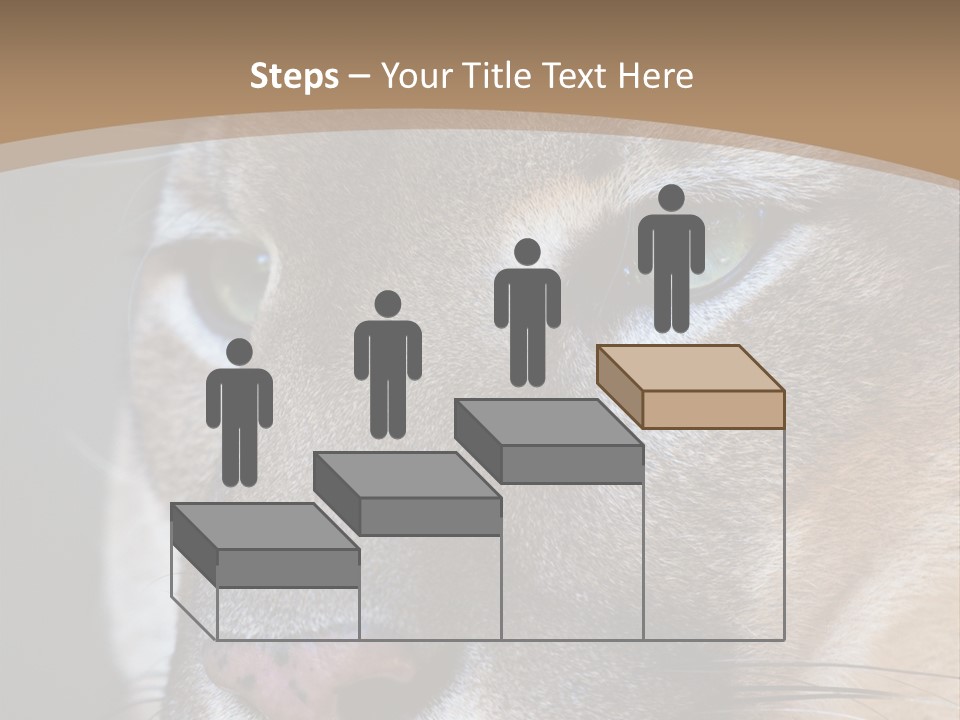 Puma Animal PowerPoint Template