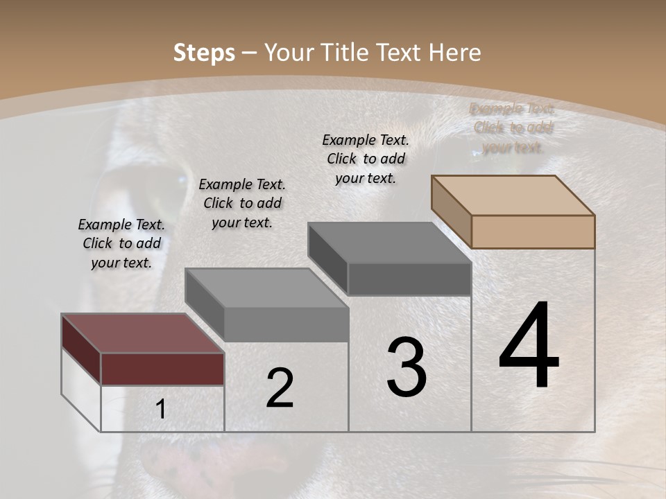Puma Animal PowerPoint Template