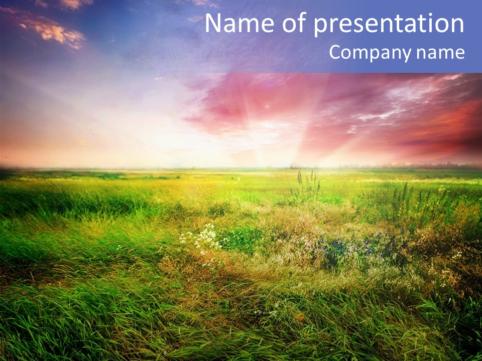 Beautiful Nature PowerPoint Template