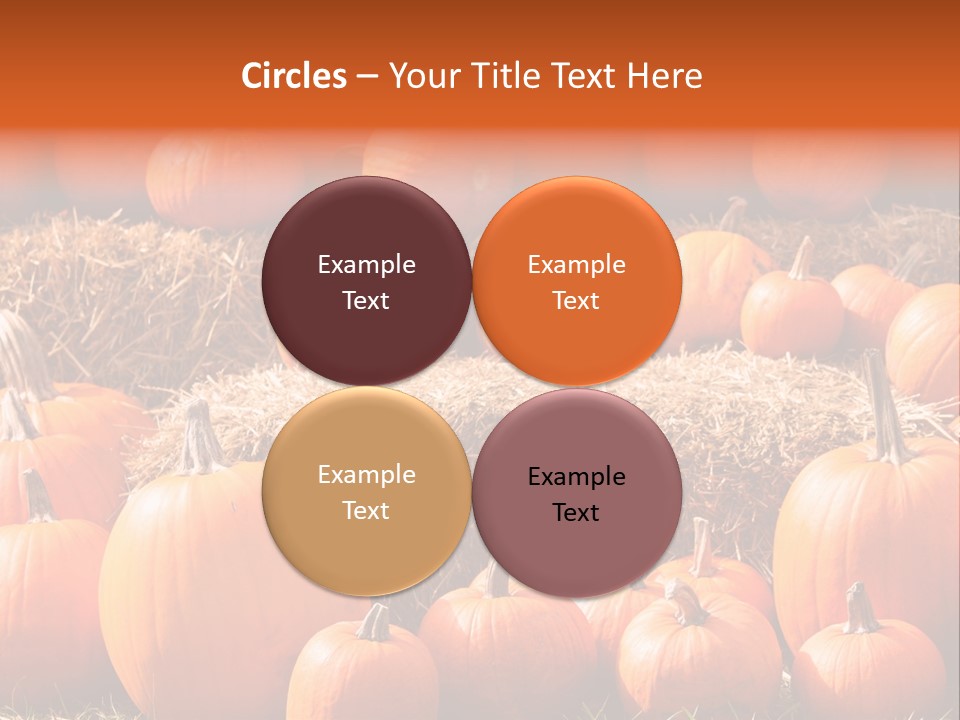 Autumn Pumpkin PowerPoint Template