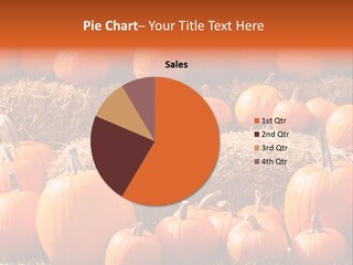 Autumn Pumpkin PowerPoint Template