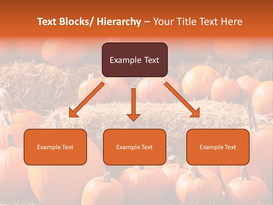 Autumn Pumpkin PowerPoint Template