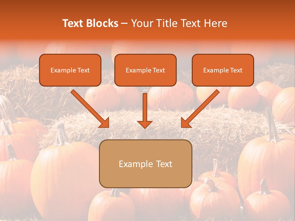 Autumn Pumpkin PowerPoint Template