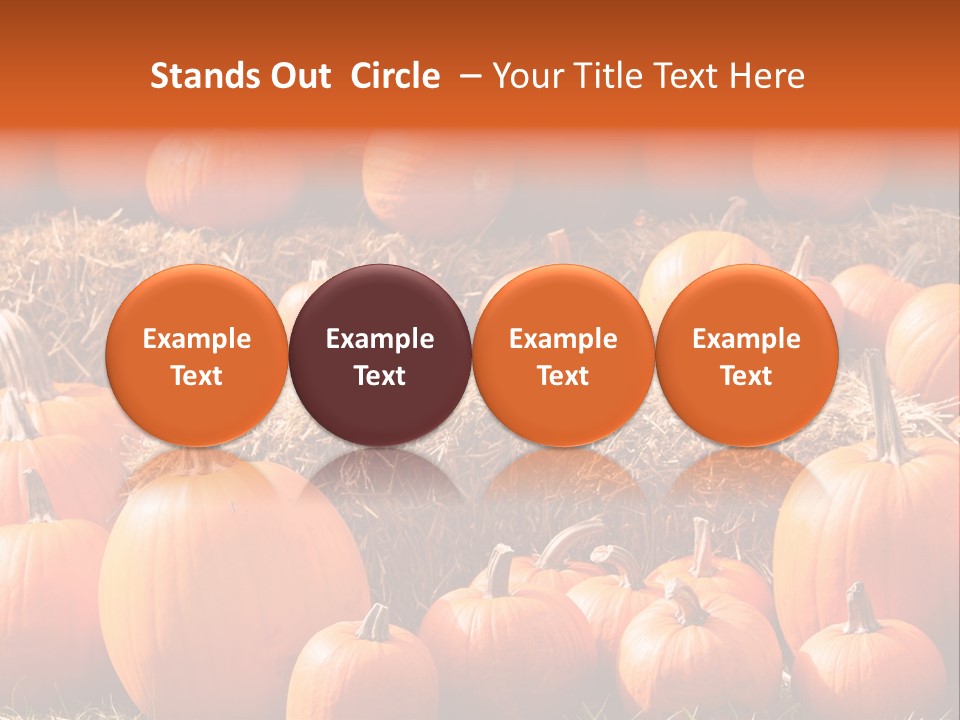 Autumn Pumpkin PowerPoint Template