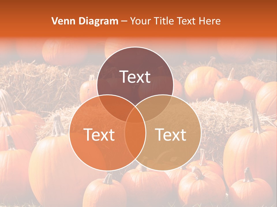 Autumn Pumpkin PowerPoint Template