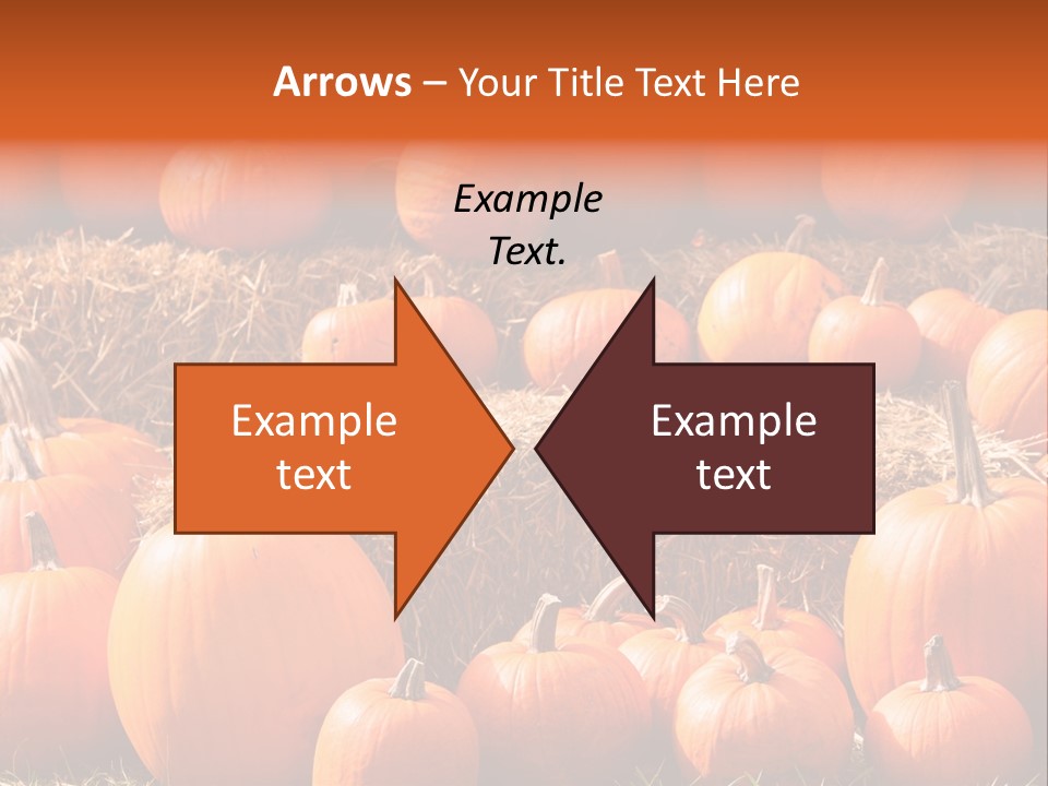 Autumn Pumpkin PowerPoint Template
