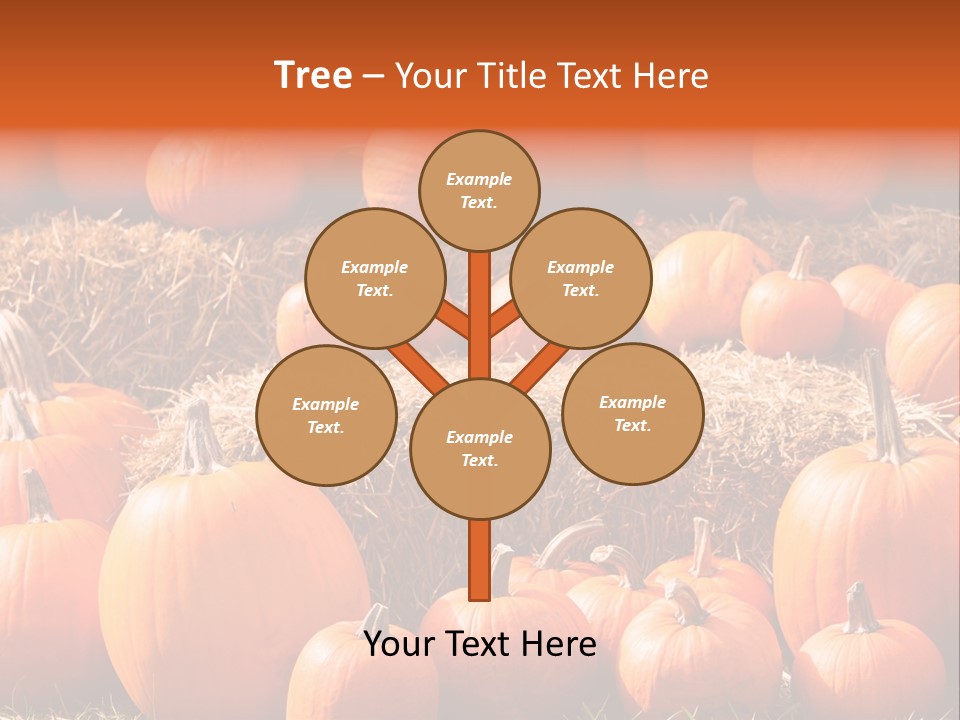Autumn Pumpkin PowerPoint Template