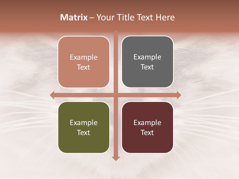 Cat Face Up Close PowerPoint Template