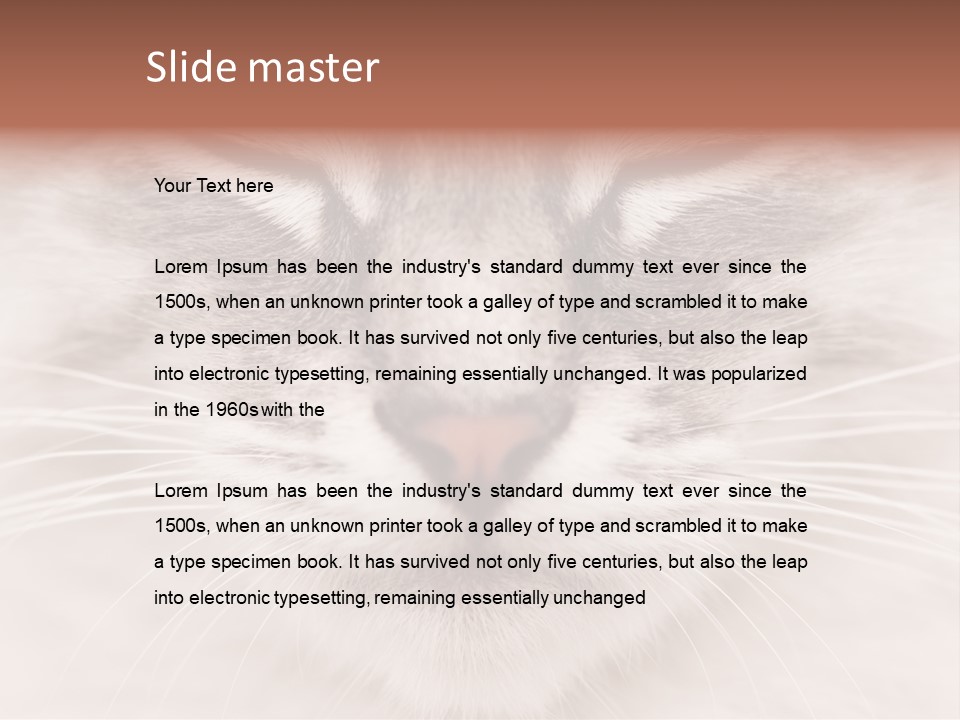 Cat Face Up Close PowerPoint Template
