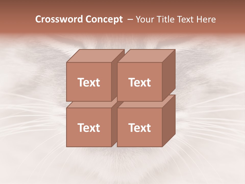 Cat Face Up Close PowerPoint Template