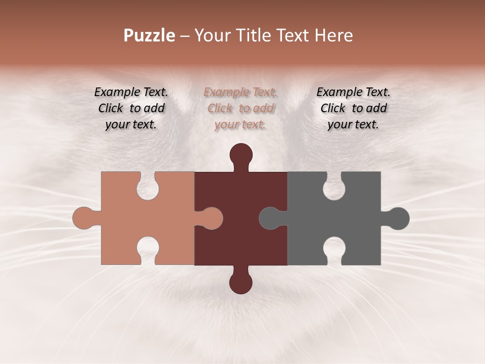 Cat Face Up Close PowerPoint Template