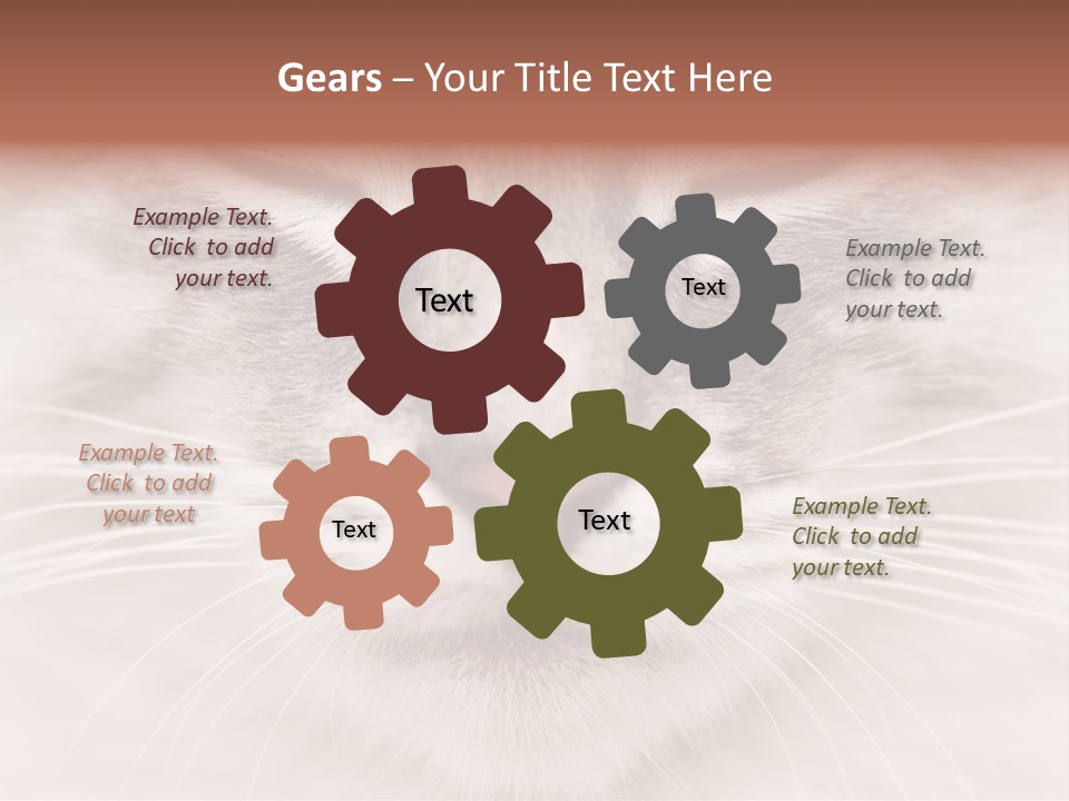 Cat Face Up Close PowerPoint Template