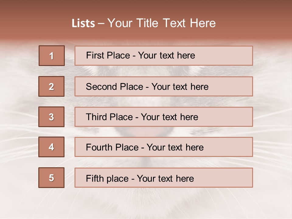 Cat Face Up Close PowerPoint Template